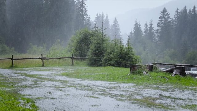Heavy rain on a background of green forest.