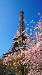 Fototapeta premium Wieża Eiffla w okresie wiosennym, Paryż, Francja