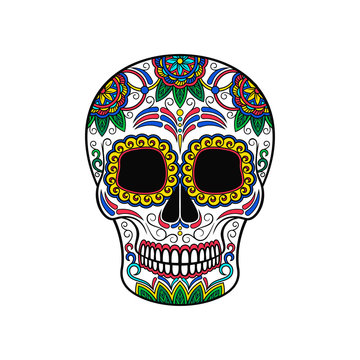 Mexican sugar skull with floral pattern, Day of the death vector Illustration
