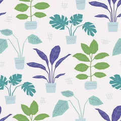 Aluminium Prints Plants in pots seamless pattern with hand drawn house plants