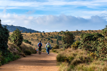 Obraz premium Tourists walk in Horton Plains