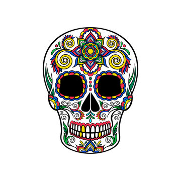 Mexican sugar skull with floral ornament, Day of the death vector Illustration