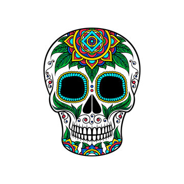 Mexican sugar skull with floral ornament, Dia de Muertos vector Illustration