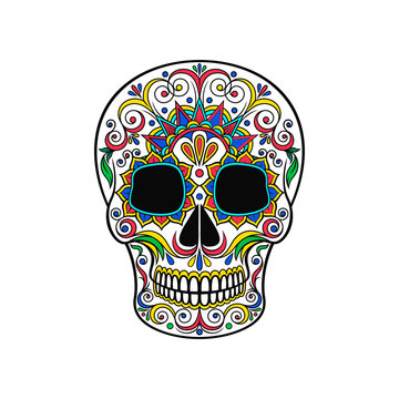 Day of The Dead Skull, sugar skull with floral ornament vector Illustration