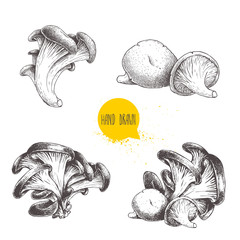 Hand drawn sketch style oyster mushroom set isolated on white background. Fresh forest food vector illustrations collection.