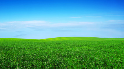 green field