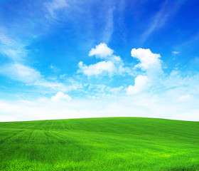 Obraz premium green field