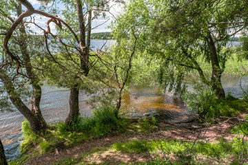 Fototapeta premium Summer landscape. Scenic view from the riparian forest to the lake Seliger, Tver region.