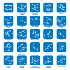 Thin Line Winter Sport Icons 