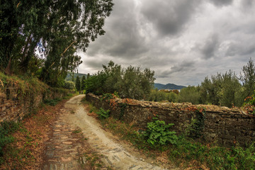 Fototapeta na wymiar Mount Athos in Greece