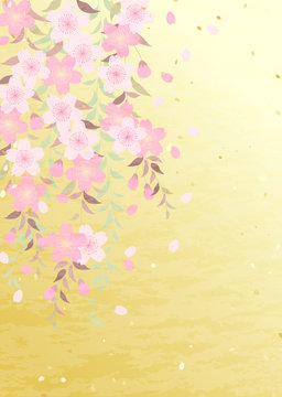 枝垂れ桜