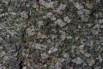Rocky Texture (Diffeterent pattern)