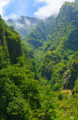 Obraz premium Mountain landscape. View of mountains on the route Queimadas Forestry Park - Caldeirao Verde