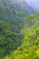 Fototapeta na wymiar Mountain landscape. View of mountains on the route Queimadas Forestry Park - Caldeirao Verde