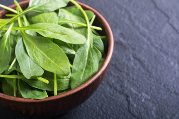 fresh green baby spinach