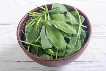 fresh green baby spinach