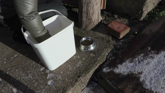 Woman with cat food near bowl at yard
