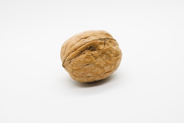 Walnut
