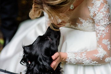 Stunning bride plays with a nice dog in the park