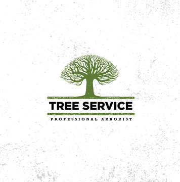 Professional Arborist Tree Care Service Organic Eco Sign Concept. Landscaping Design Raw Vector Illustration