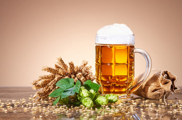 A mug of fresh beer and natural ingredients of brewing