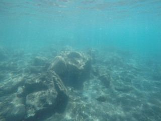 Underwater sea scene