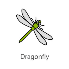 Dragonfly color icon © IMG visuals icons