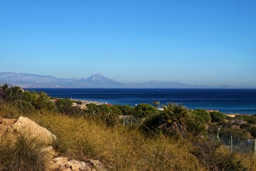 Vegetation in cliffs of the Alicante coast