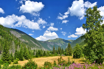  Mountains summer landscape with blue sky and clouds, Tatras National Park, Slovakia