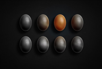 Dark eggs and one bright egg. be different concept.