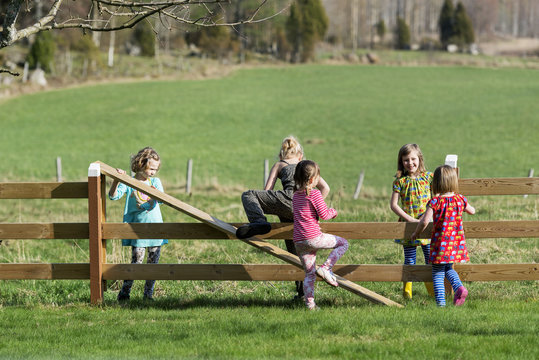 Group of children getting through wooden fence in meadow on sunny day