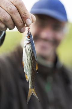 Man holding small fish on fishhook
