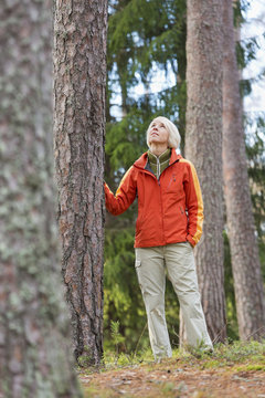 Blonde woman looking up while standing by tree in forest