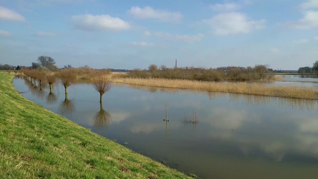 Rising water level river IJssel, dike + inundated floodplains with pollard willows and reed.