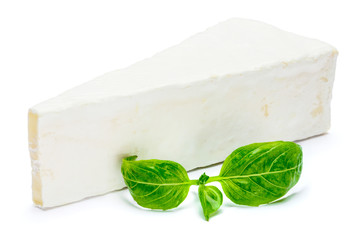 Piece of brie or camambert cheese on a white background
