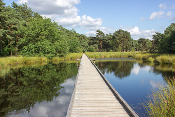 National Park Maasduinen in the Netherlands