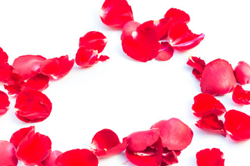 Valentines Day Made of Red rose petals Isolated on White Background.