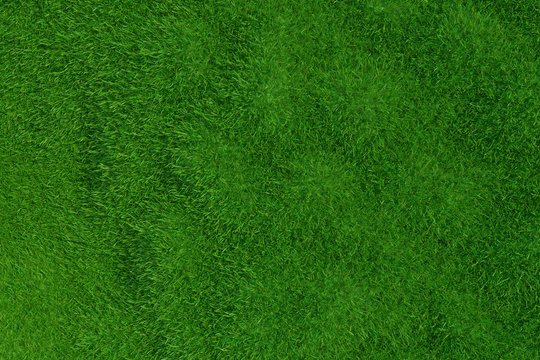 Green grass background. Natural background. Top view. 3d rendering