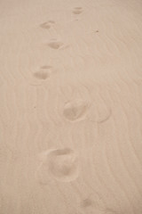 Footprints in the sand