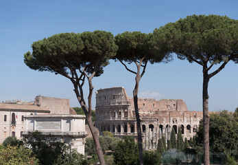 Coliseum