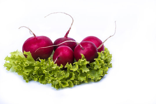 
cabbage and radishes isolated on a white background