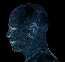 Head of the Person from a 3d illustration Grid. Human Head Model. Geometry Man Portrait