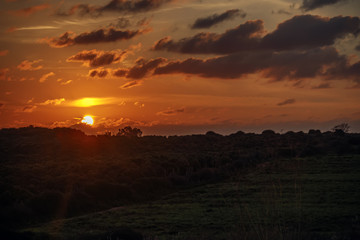 Sunset in the clouds above the fields