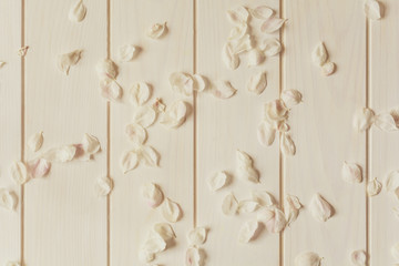 Cherry blossom petals on white wooden background