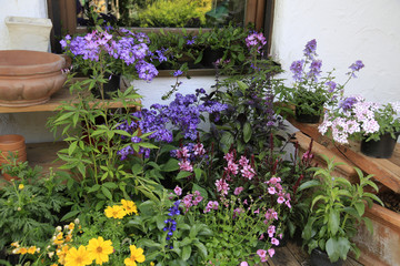Verschiedene Blühpflanzen beim Eintopfen im Garten