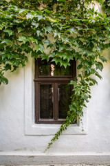 Fototapeta na wymiar 100 year old window on a village folk house