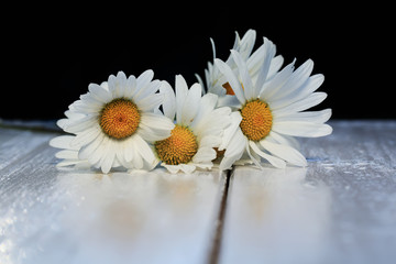 Obraz premium beautiful bouquet of delicate white flowers daisies on shiny wooden table