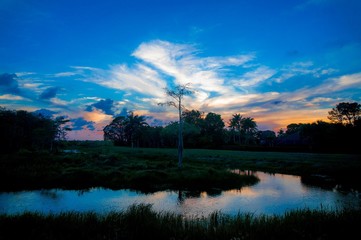 Fototapeta na wymiar river in the swamp at sunset