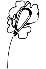  vector sketch abstract flower.