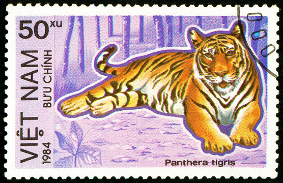 Ukraine - circa 2018: A postage stamp printed in Vietnam show Tiger or Panthera tigris. Series: Endangered Animals. Circa 1984